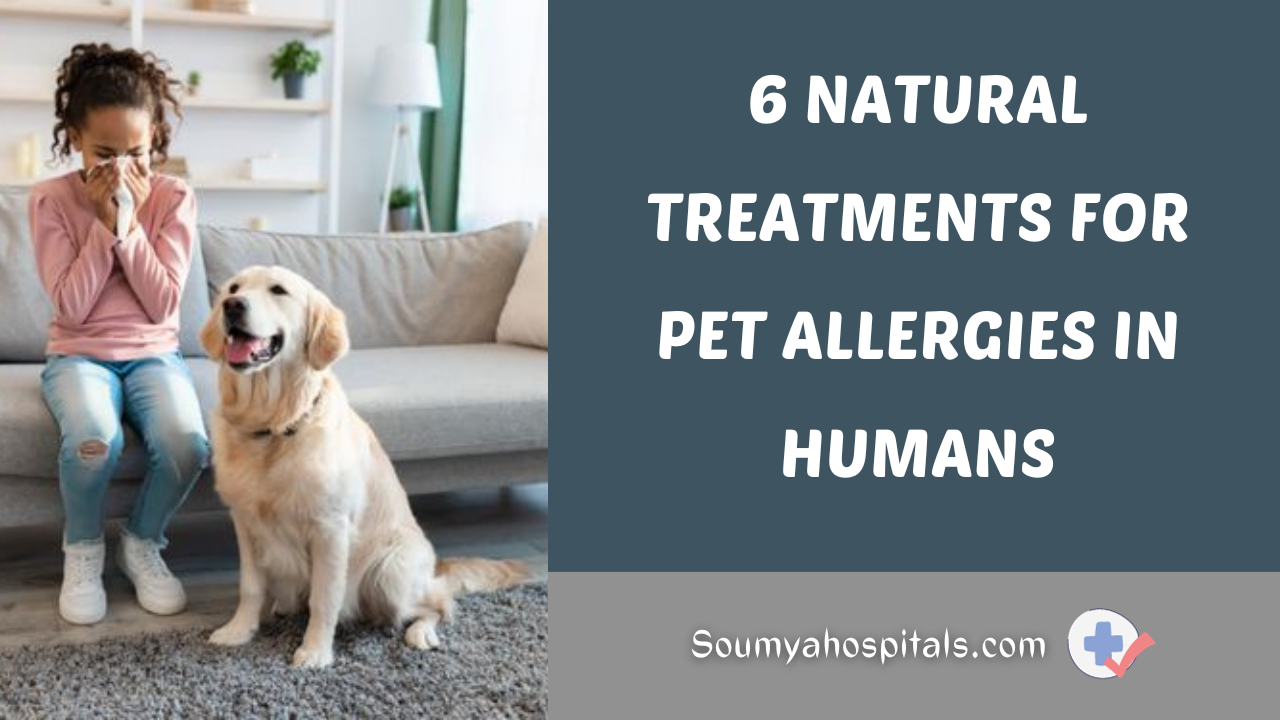 6-natural-treatments-for-pet-allergies-in-humans-soumyahospitals