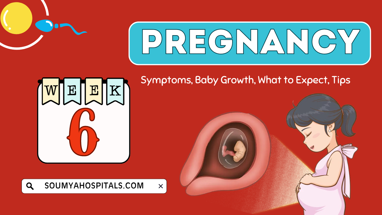 6 Weeks Pregnant: Symptoms, Baby Growth, What to Expect, Tips for Pregnancy at Week 6