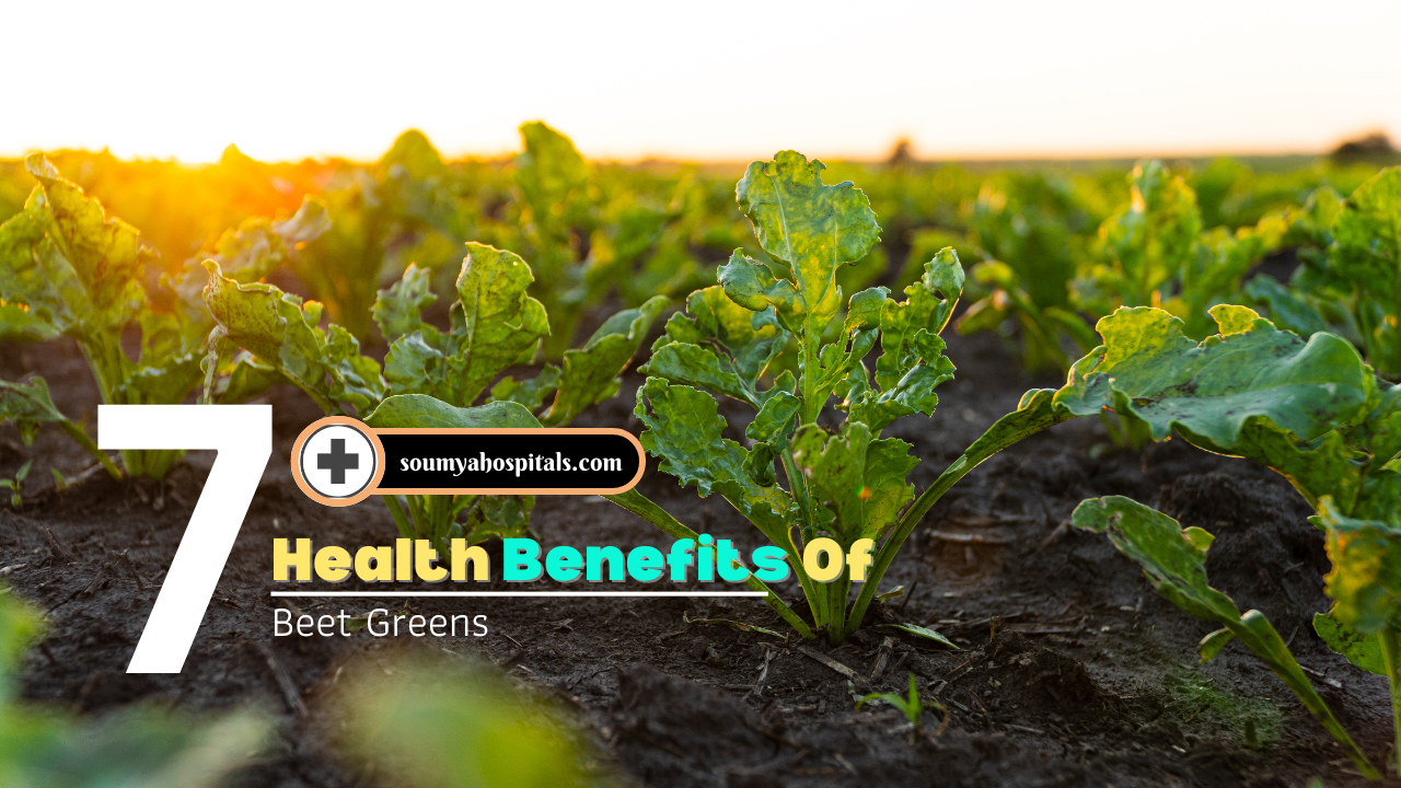 Health Benefits Of Beet Greens