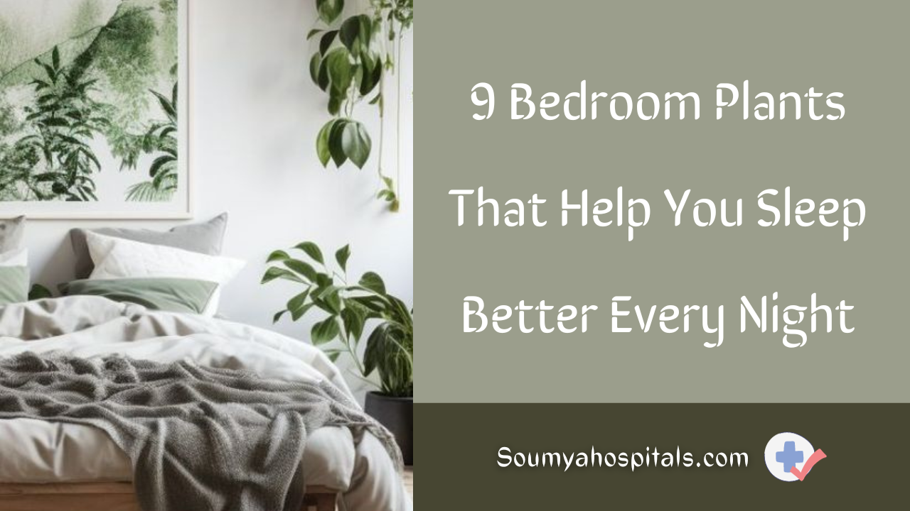 9-bedroom-plants-that-help-you-sleep-better-every-night