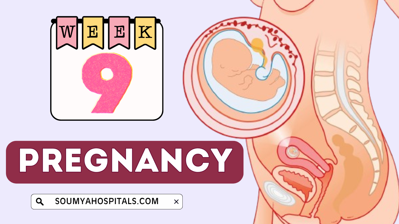9 Weeks Pregnant: Symptoms, Signs, Baby Development, Tips, Diet, Key Points