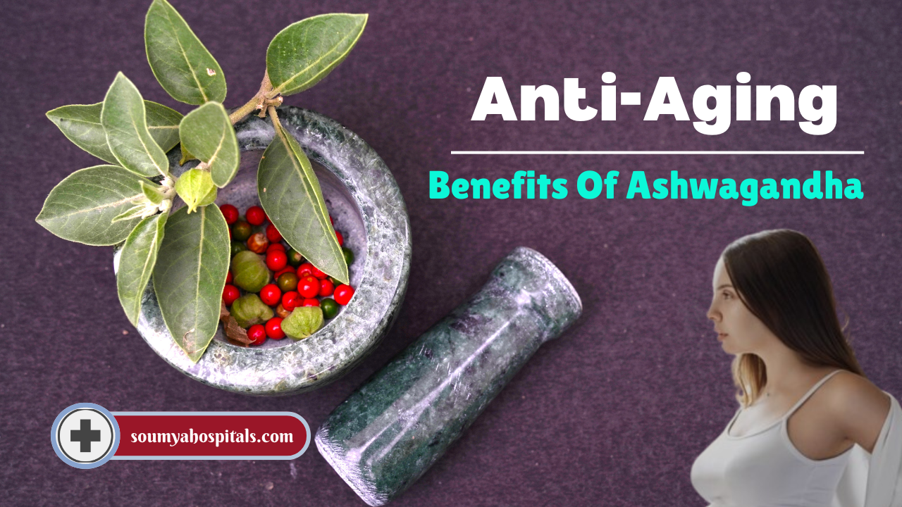 Anti-Aging Benefits Of Ashwagandha: Grow Older, Don’t Age