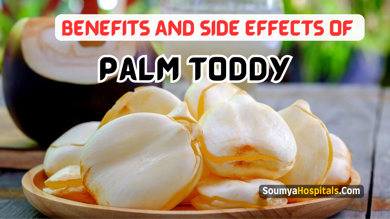 Benefits And Side Effects Of Palm Toddy