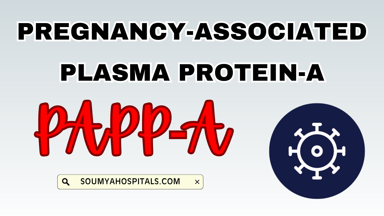 Everything_About_Pregnancy-Associated_Plasma_Protein-A__PAPP-A_Pre_MZY3pZk