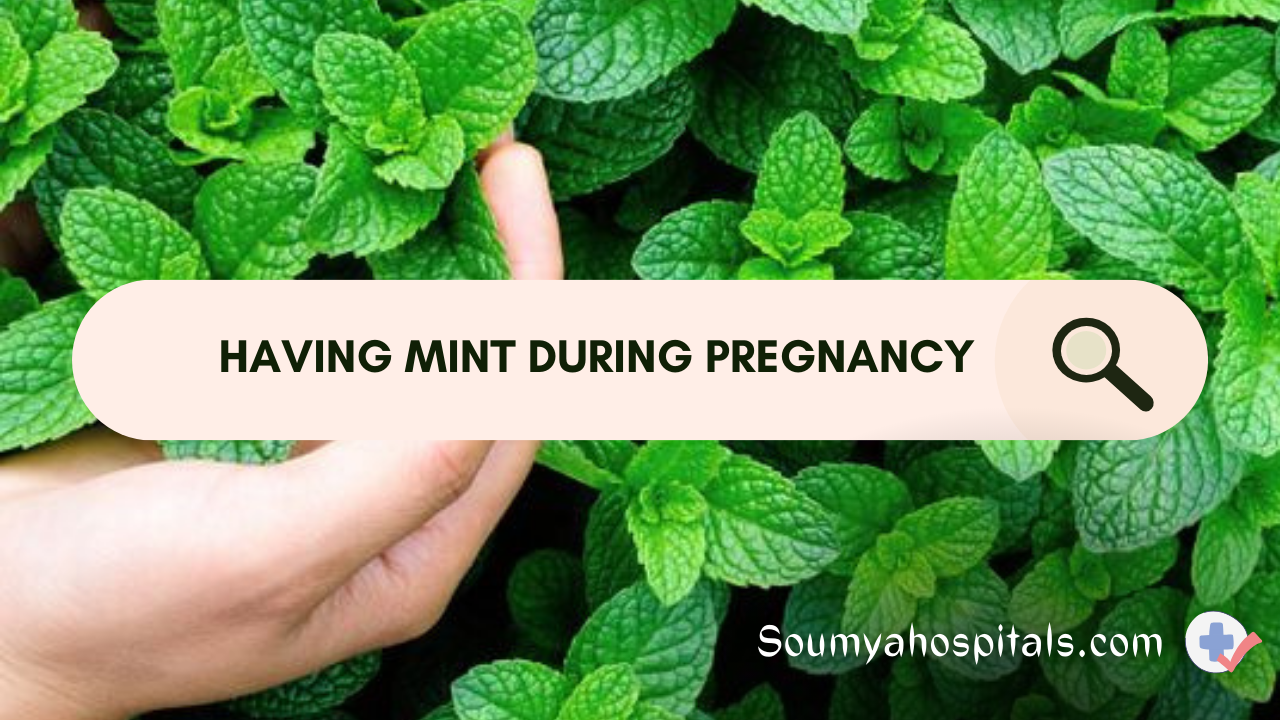 Having Mint During Pregnancy Pros And Cons You Should Be Aware Of