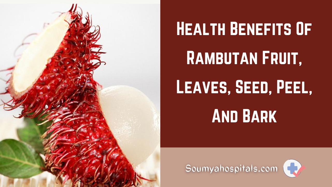 Health Benefits Of Rambutan Fruit, Leaves, Seed, Peel, And Bark