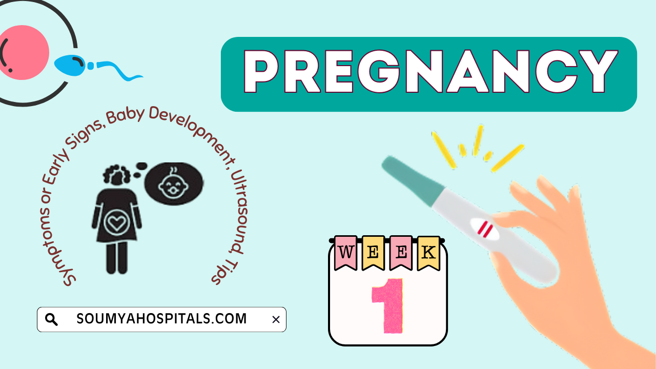 Week 1 Pregnancy Symptoms or Early Signs, Baby Development, Ultrasound, Tips