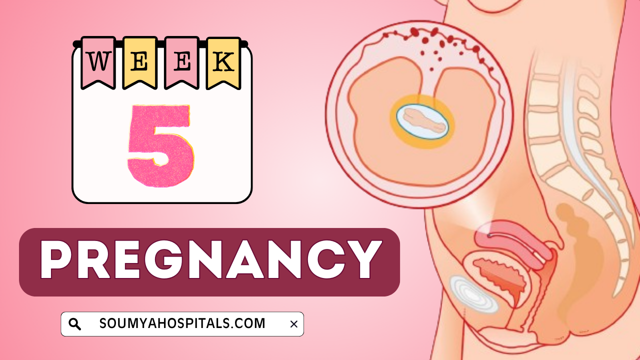 Week 5 Pregnancy: What to Expect When You Are 5 Weeks Pregnant