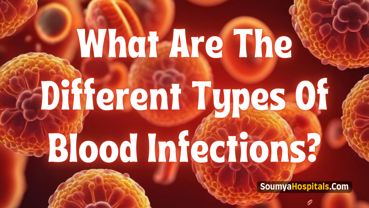 What Are The Different Types Of Blood Infections?