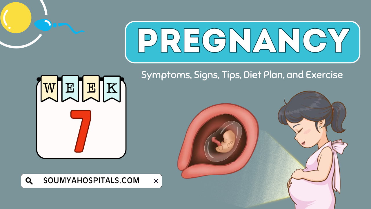 You_and_Baby_Development_at_7_Weeks_Pregnant_Symptoms_Signs_Tips_D_Tkd51sX